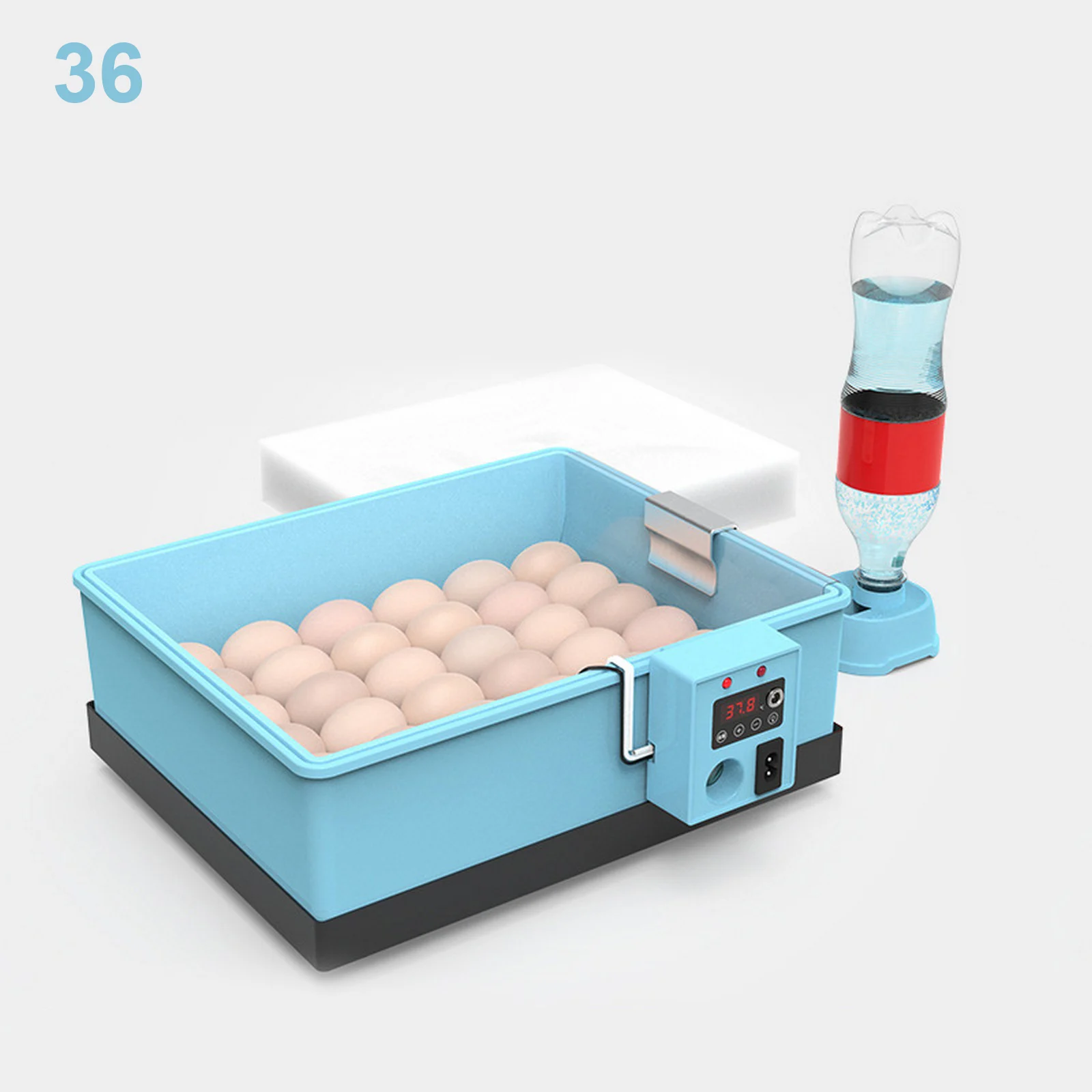 36 eggs