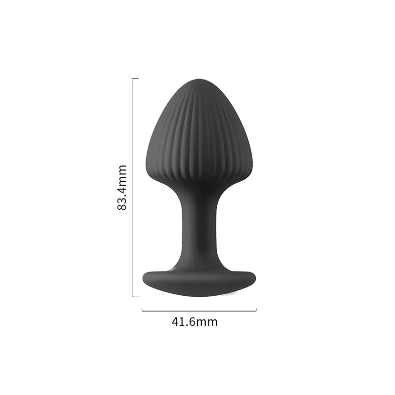 Analdilatations-set Für Anfänger Und Fortgeschrittene Komfort_voghion.com