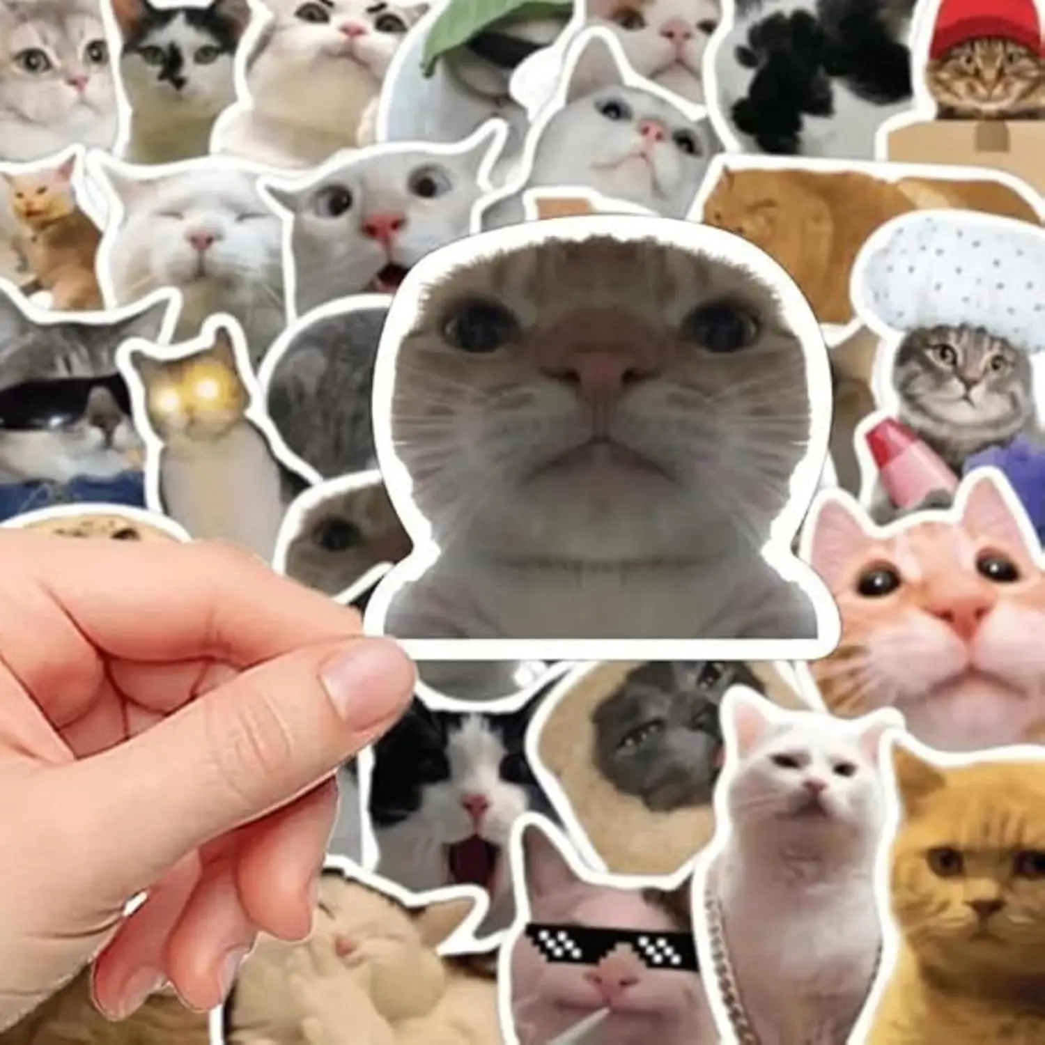 50Pcs 재미 있은 고양이 스티커 방수 귀여운 현실적인 고양이 데칼 노트북 전화 케이스 스크랩북 수하물 DIY 장식 어린이 선물