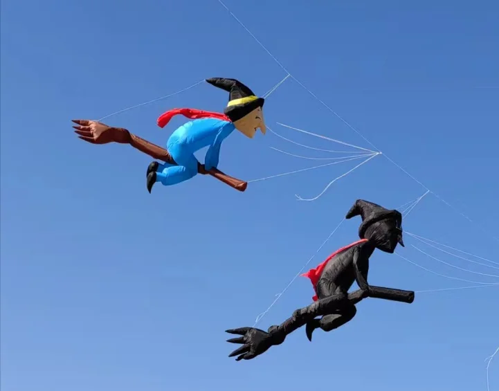 7m Kite flying software kite wind pointer kites for adults outdoor toys