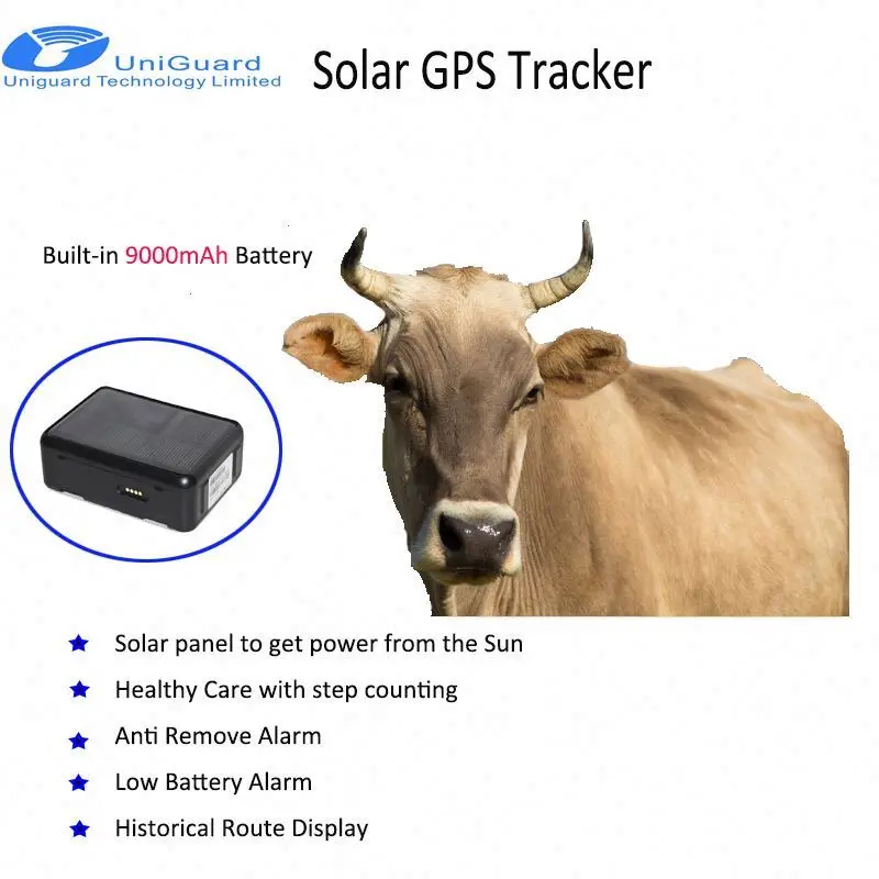 2G Gsm Trackers Animals Trailer Tracking Device Waterproof Chip Animal for Cow Sheep Powered Ear Tags Solar Gps Tracker