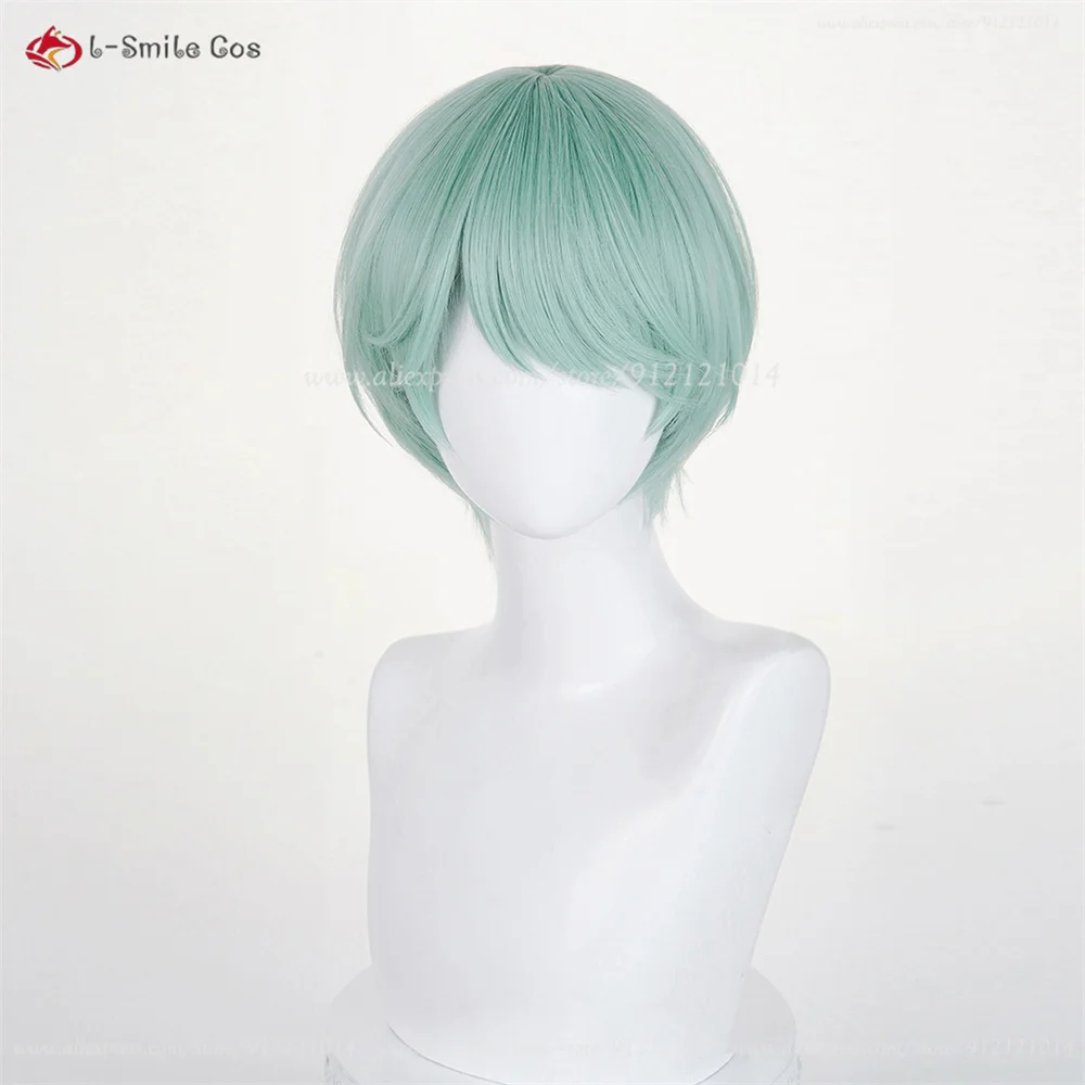 Anime Cosplay Wig Image 17