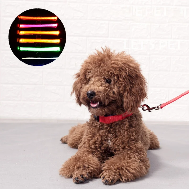 Custom Adjustable LED Nylon Dog Collar