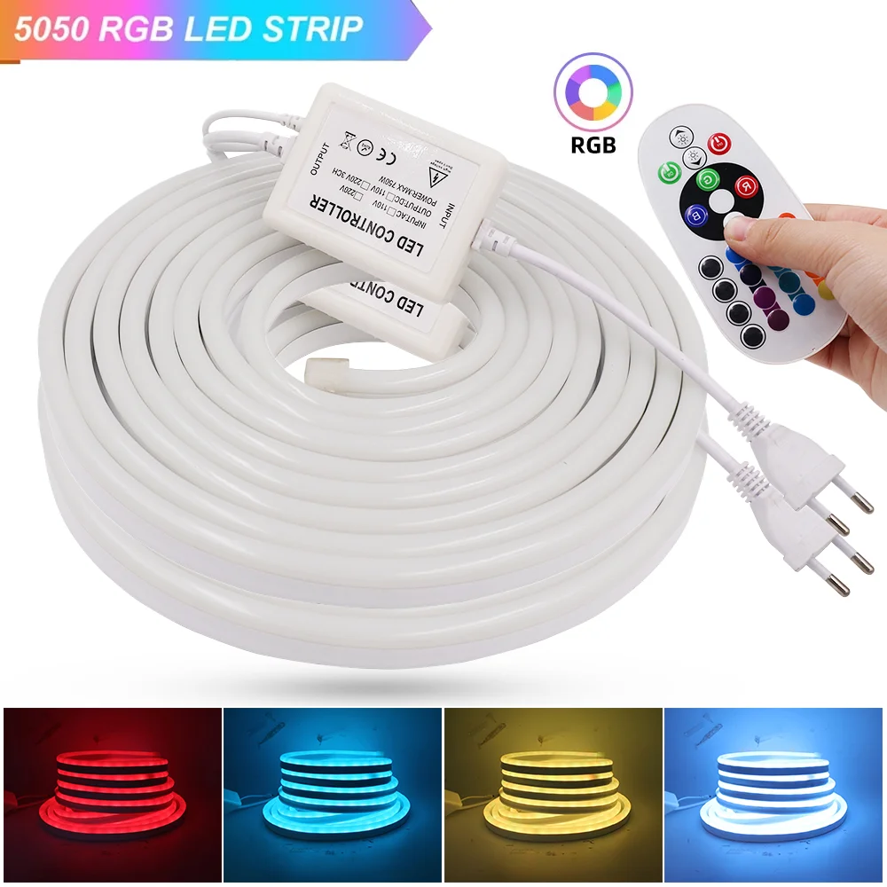 220V Neon Light Sign SMD 5050 2835 RGB Neon Tape Strip Remote Control Waterproof Neon Rope 80Leds/m 120Leds/m Flexible LED Light 5v 2835 neon lights sign with switch 6x12mm 120leds m flexible led strip dimmable usb battery power waterproof led tape lamp