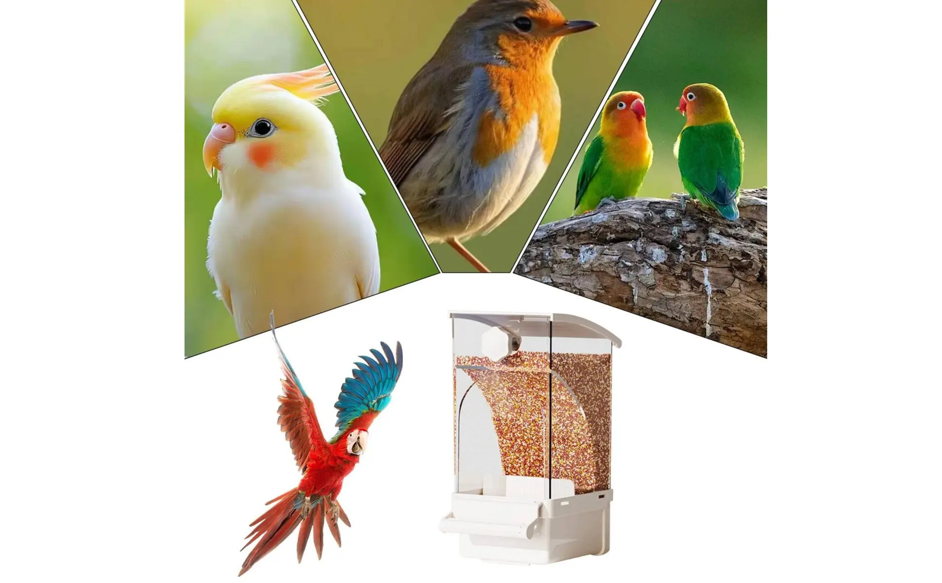 Automatic Avian Feeder Husk Separating No-Mess Avian Feeder No Mess Container Large Capacity Pet Supplies Transparent Design Automatic Avian Feeder Husk Separating No-Mess Avian Feeder No Mess Container Large Capacity Pet Supplies Transparent Design