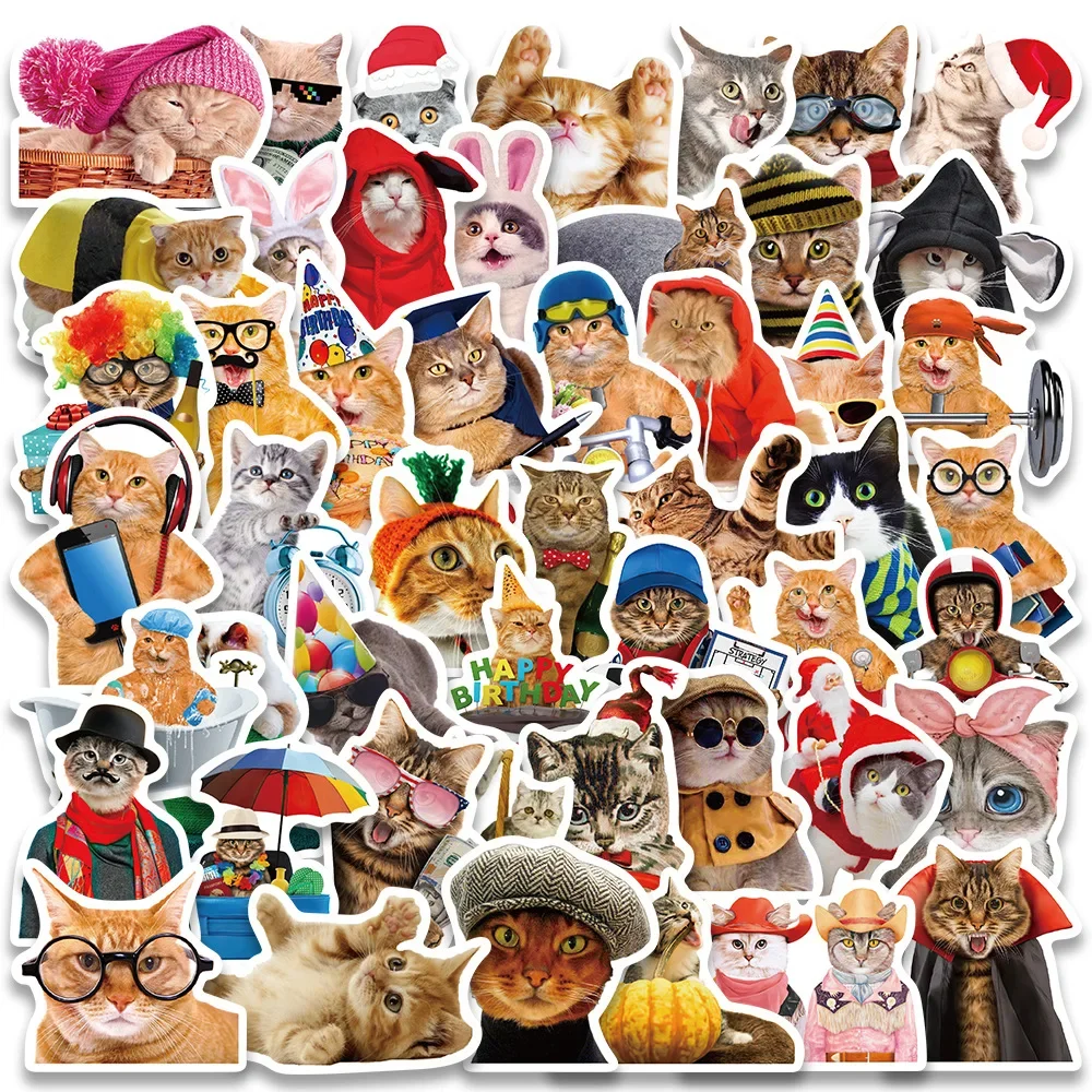 Cute Cat Vinyl Stickers Waterproof Cats MEME Funny Decals for Water ...