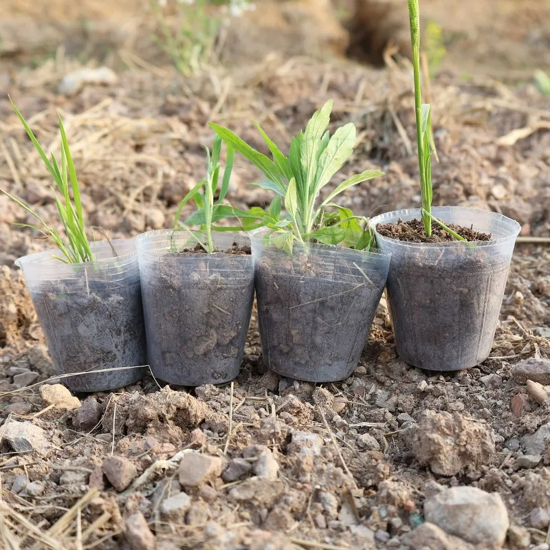 10 Vasi Per Orchidee In Plastica Trasparente, Con Fori E Fessure, 6,5x8,3 Cm, Per Drenaggio E Aria Alle Radici - 3