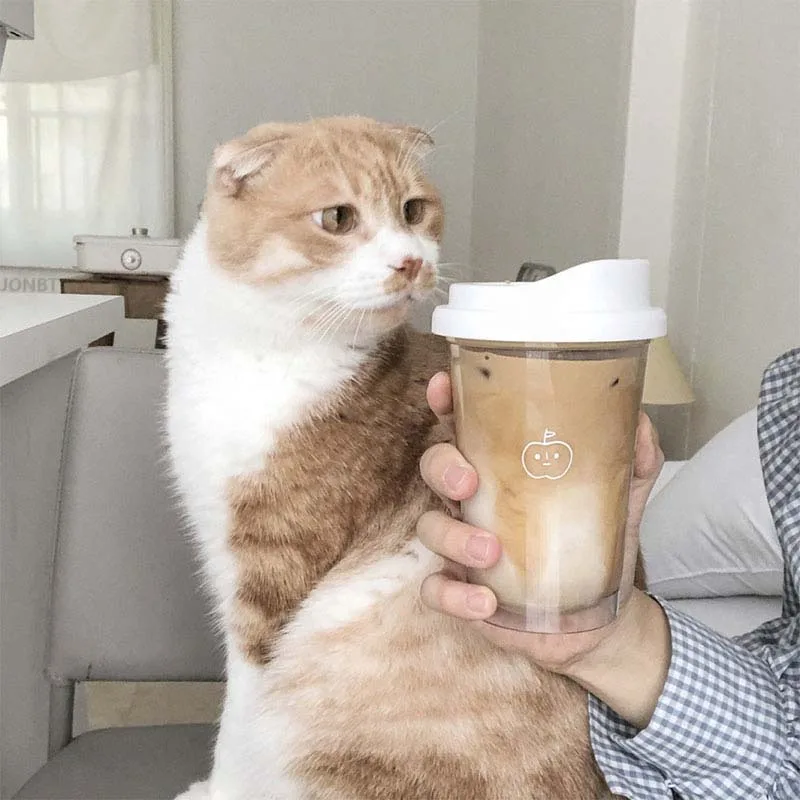 355/473ML Clear Plastic Water Bottle with Straw & Tea Strainer – Transparent Coffee Cup... - SKU PWB12373 - UGI Packaging