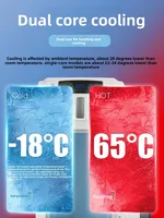 8L,10L,12L,13l 15l,19L, 20l,26L,Mini réfrigérateur voiture Portable réfrigérateur congélateur refroidisseur plus chaud double usage Camping caravane Bar réfrigérateur 2