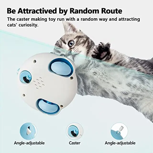 Jouet laser pour chat lumi re automatique et jouet en plumes de chat interactif 2 en