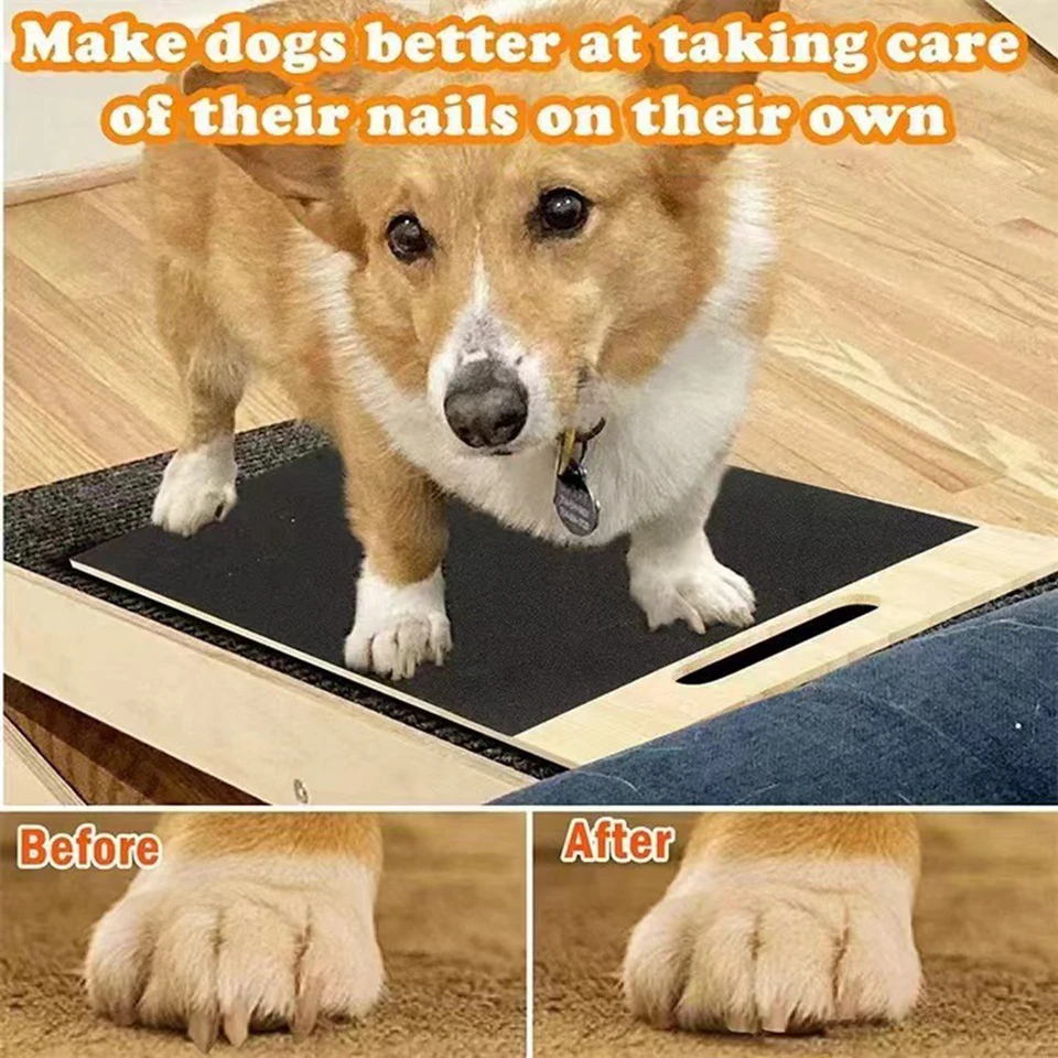 Tiragraffi Per Cani Con Limetta Unghie E Cassettino Per Snack, Legno Resistente, Per Taglie Medie E Grandi, Protegge Mobili E Pavimenti