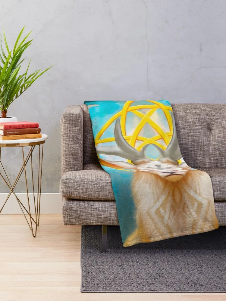 �� �罿 ������ ���, ��� ���, �ö��� ���