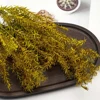 Height 10cm Simulation Long Leaves Reed Grass Model Diy Military Sand Table HO Railway Train Scene Layout Diorama Kits 1