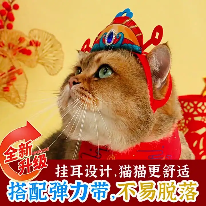 Оригинальные новые поступления весенняя праздничная шляпа Ruyi кошка собака