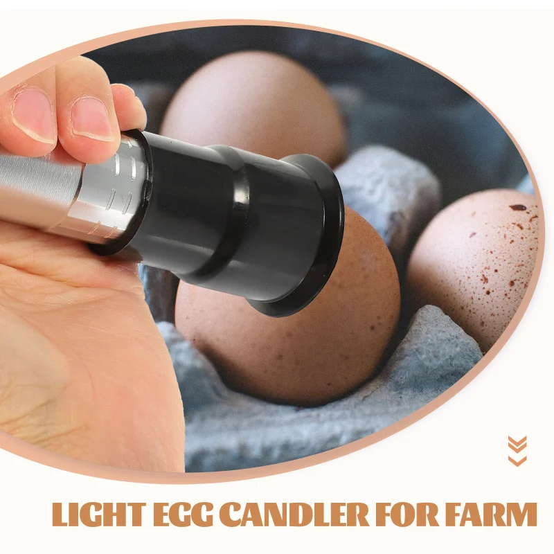 Egg Light Candler Incubator Incubation Lamp Tester Candling Eggs Quail