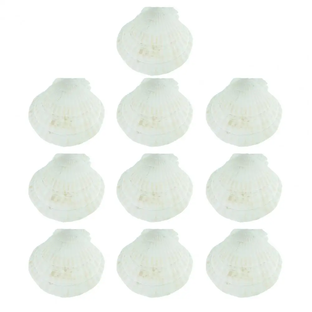 10 個 9 センチメートル-10 センチメートル天然ホタテ貝 DIY 工芸品テーマパーティーの装飾ブランク明るい白貝殻ジュエリークリスマス装飾