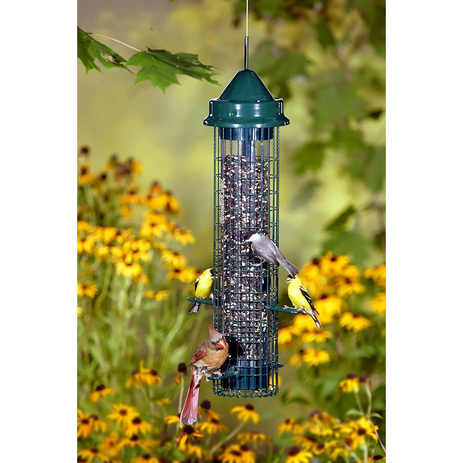 Classic Squirrel-proof Bird Feeder w/4 Feeding Ports, 2.4-pound Seed Capacity