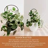 Plant Climbing Rack Plant Trellis Garden Plant Support Stake Stand Metal Vine Growth Flower Rattan Climbing Rack Garden Supplies 3