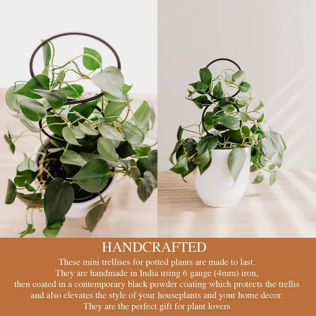 Plant Climbing Rack Plant Trellis Garden Plant Support Stake Stand Metal Vine Growth Flower Rattan Climbing Rack Garden Supplies 3