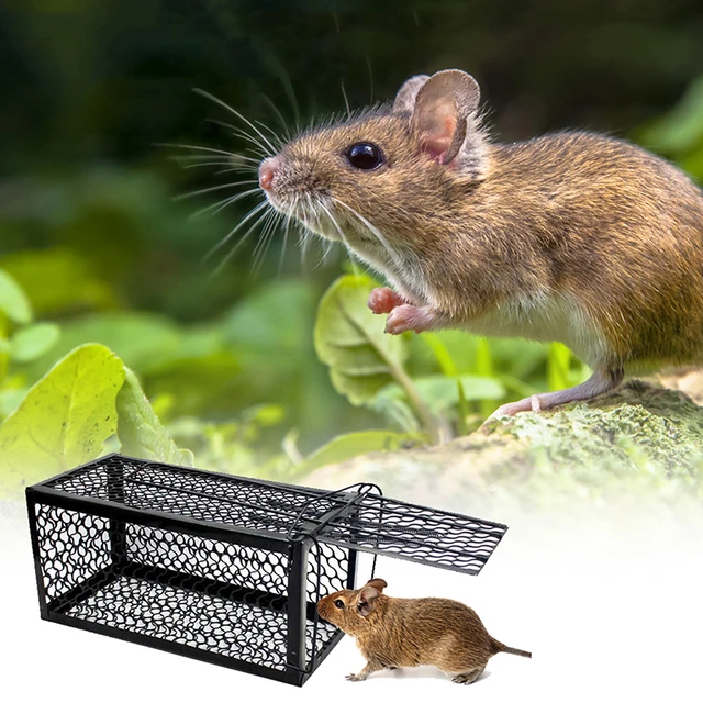 2 Pcs Smart Mouse Trap That Work No Kill Mice Catcher Indoor Outdoor Small Mice  Traps Live Catch And Release, Easy To Set And Reusable, Safe For Peopl