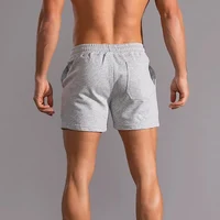 2025 Gym Summer Fitness Shorts Mens Elastic Casual Sport Shorts 2Pcs Breathable Surffing Seaside Resort Solid Running Sportswear - Image 6