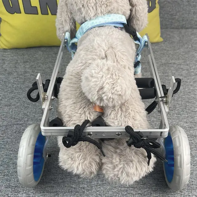 Disabled Pet Back Legs Rehabilitation Wheelchair