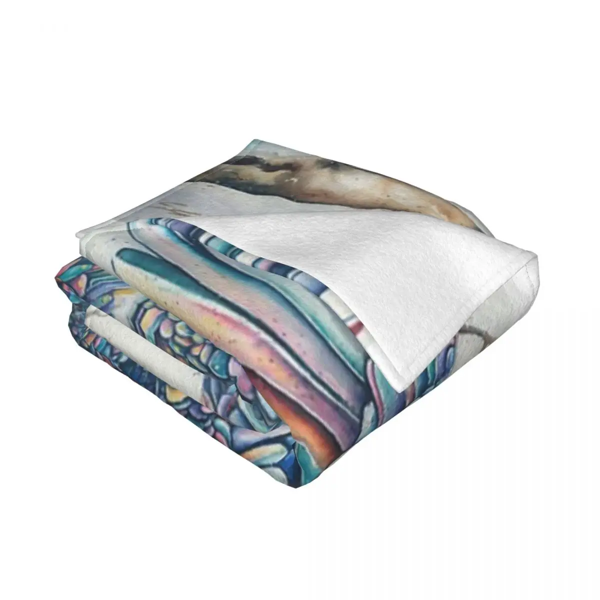 ���� ��ī�� �� �� ������ ��� ħ�뺸, �Ž� ħ�� ��