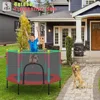 5FT Trampoline with Safety Enclosure Net, Parent-Child Interactive Game Fitness Trampoline Toy 5