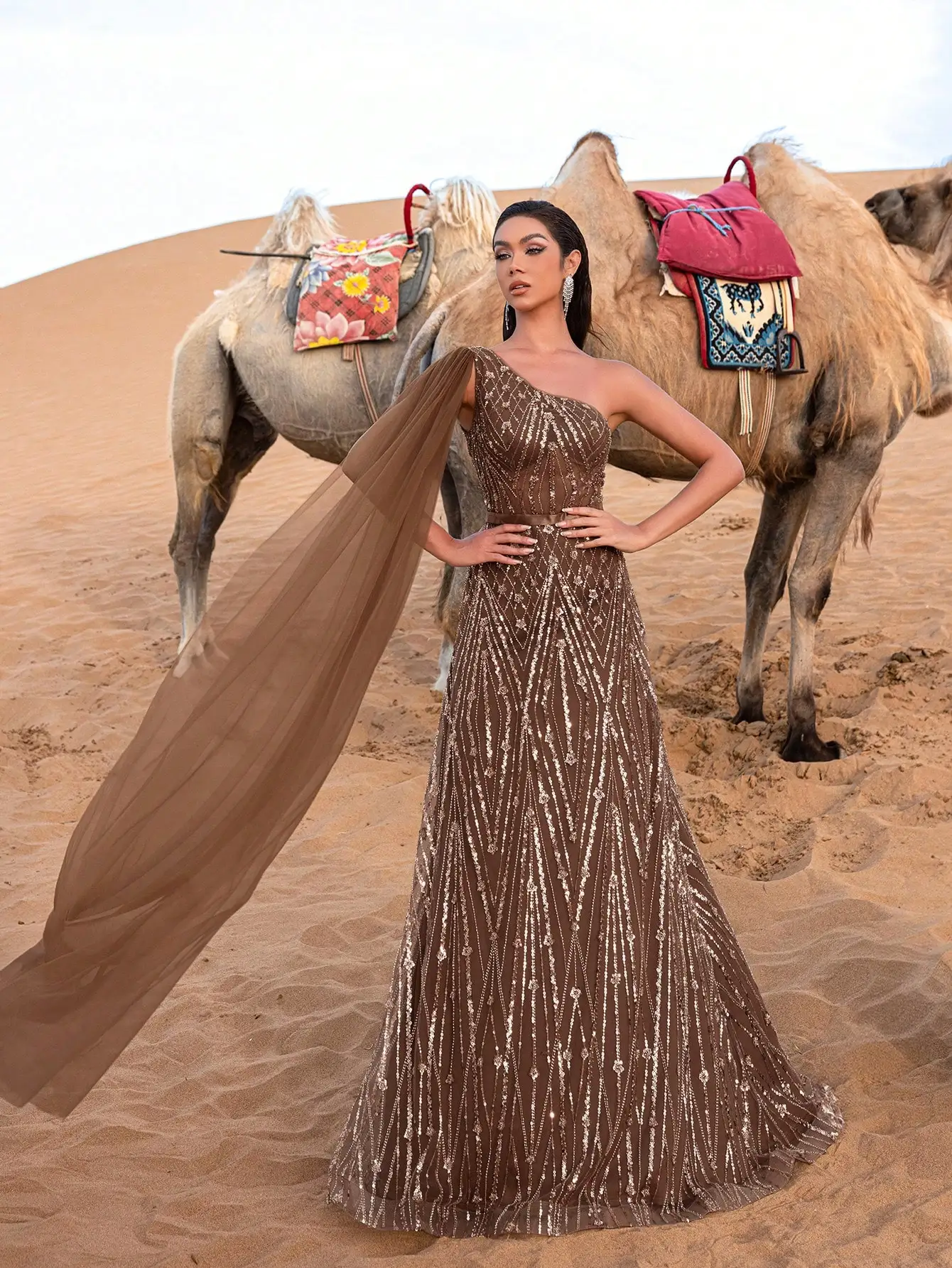 فساتين رسمية رائعة بكتف واحد وأكمام كيب مطرزة بالت...