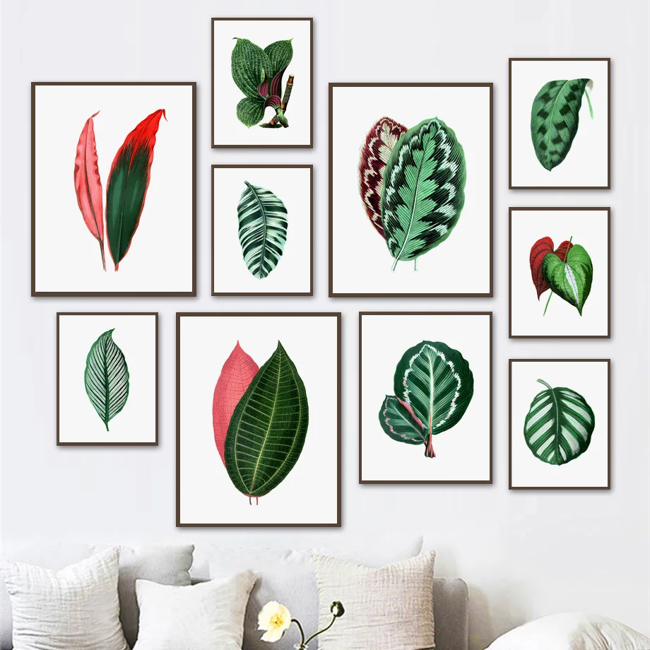 Arrowroot Plant Leaves Herb Botanical Wall Art Canvas Painting Nordic Poster E Stampe Immagini A Parete Per La Decorazione Del Soggiorno