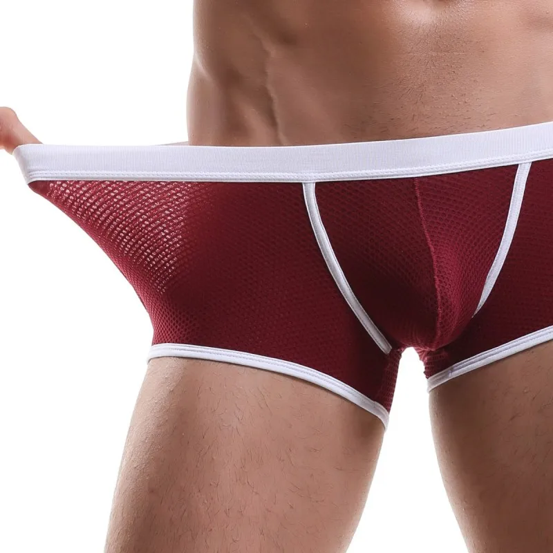 Brand Men Mesh Boxers Underwear Low-Waist Men Boxershorts Sexy Male Panties Cuecas Temptation Bulge Penis Big Pouch Man Lingerie 3