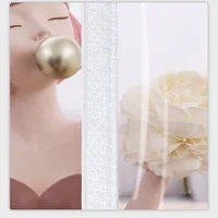 Rideaux de porte de climatisation, rideaux de séparation, climatisation anti-eau, aspiration magnétique transparente, aucun châle requis 4