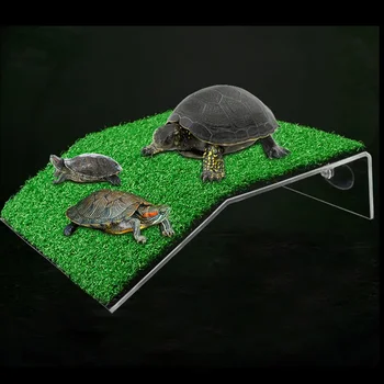 Turtle Basking Platform 3