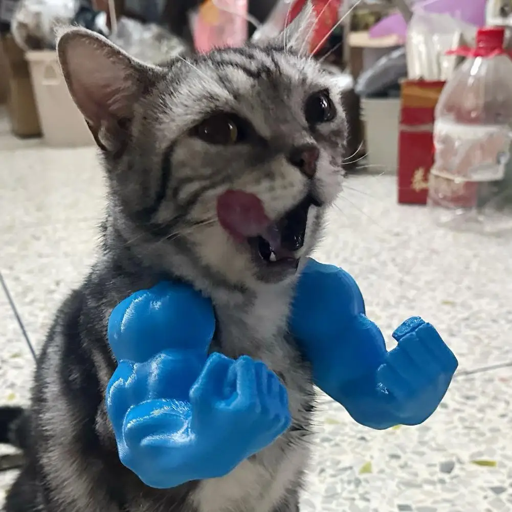 Cat Muscle Arm