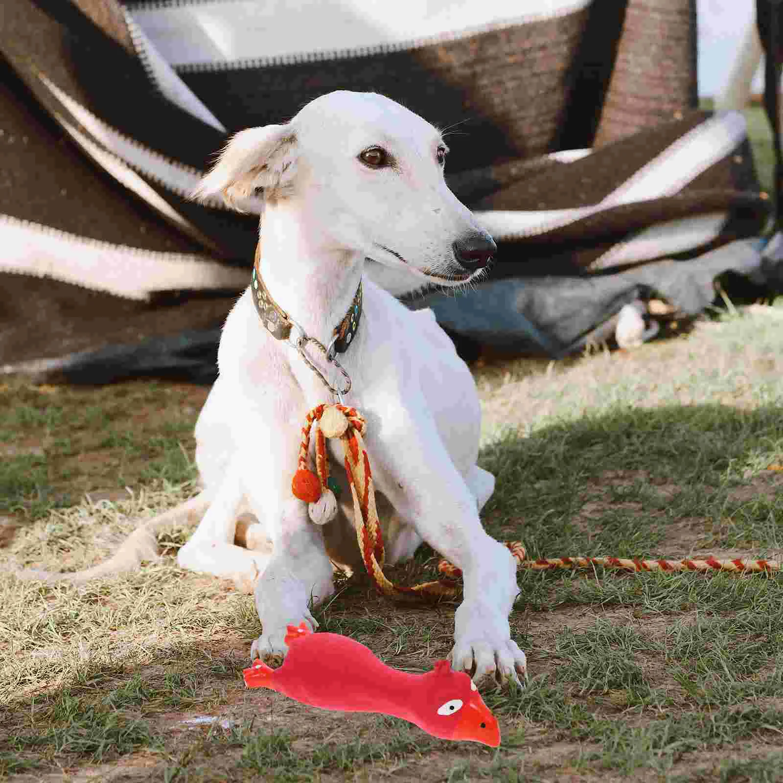 

Squeaky Dog Toy Interactive Puppy Chewing Toy Dog Toy Chicken Shape Pet Biting Toy