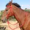 300cm Cotton Weave Equestrian Rein Halters Heavy Duty Leading Rope Halter Equipment for Horses & Livestock 6