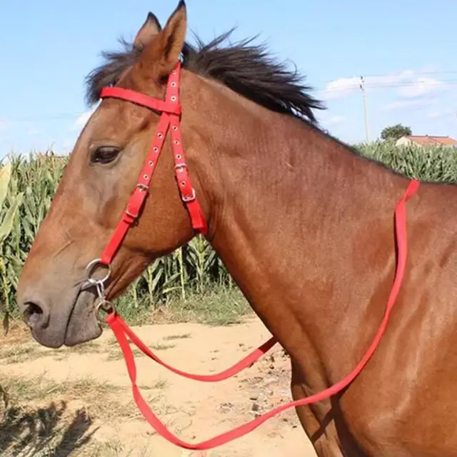 300cm Cotton Weave Equestrian Rein Halters Heavy Duty Leading Rope Halter Equipment for Horses & Livestock 6