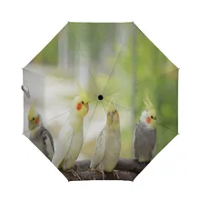 

Kids Umbrella Lovely Cockatiels Birds Branch Auto Open Close Small Compact Travel Sun Uv Rain Windproof Foldable Umbrellas Short