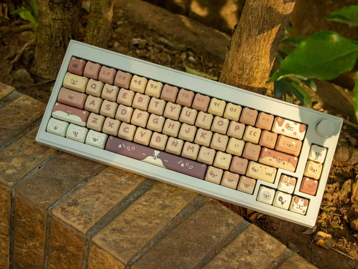 bonito Pet, Gato e Cão Padrão, PBT