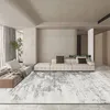 Modern High-grade Gray Large Area Carpets Living Room Decoration Carpet Washable Rugs for Bedroom Home Decor Mat Lounge Rug 3