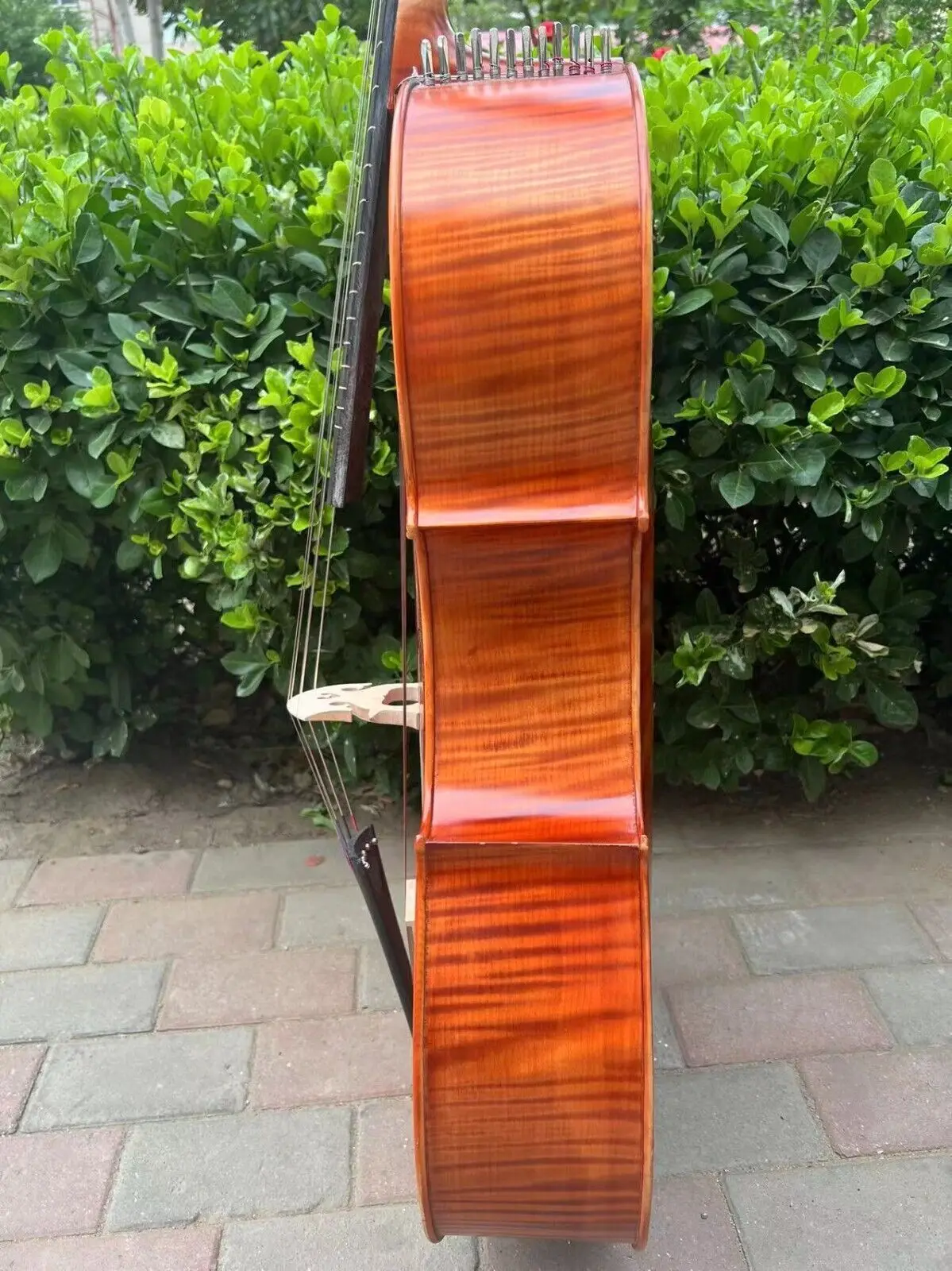 Рисунок 3 - Стандартная коричневая Виолончель-арпегион