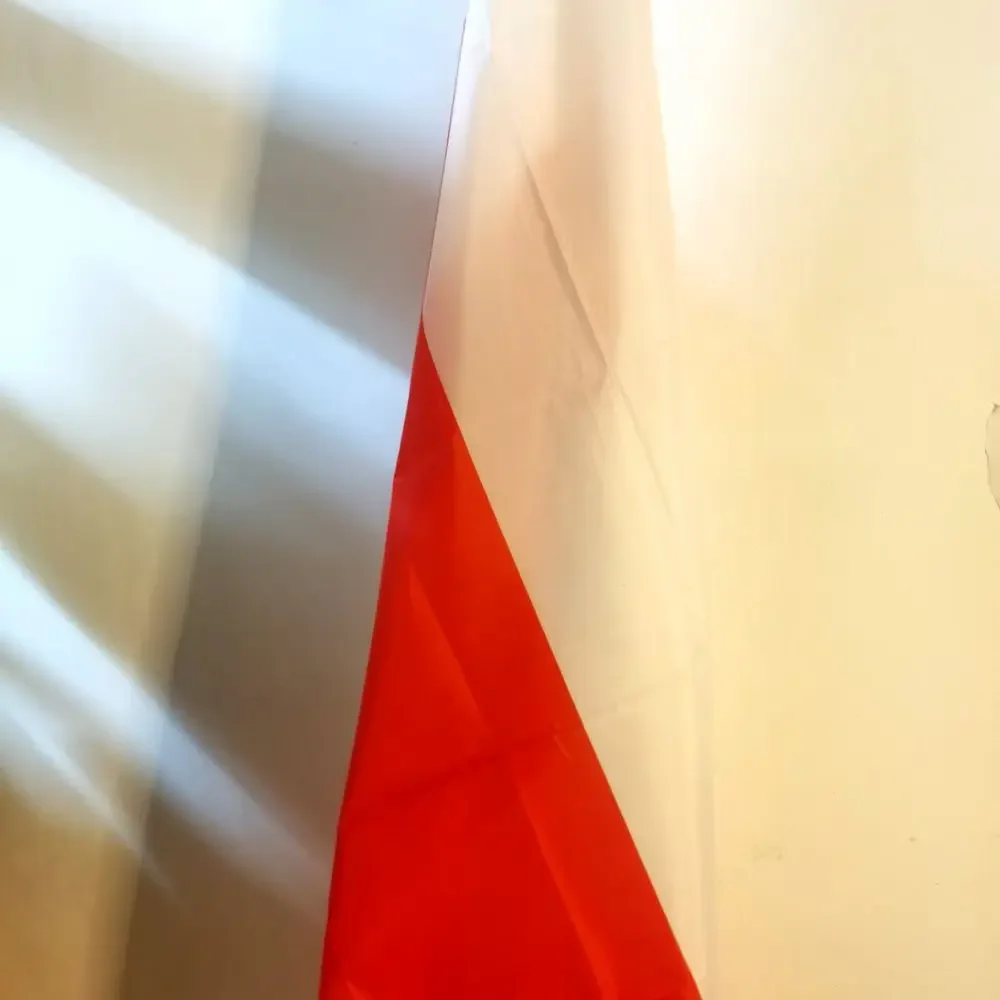 Bandiera Bielorussia Con Cavaliere Bianco - 90x150 Cm, Poliestere, Per Interni/Esterni - Foto 7