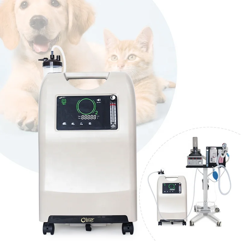 Concentratore Di Ossigeno Canino Veterinario 5L Concentratore Portatile Ossigeno Veterinarios Pet Dog Cat Animal Vet Concentratore Di Ossigeno