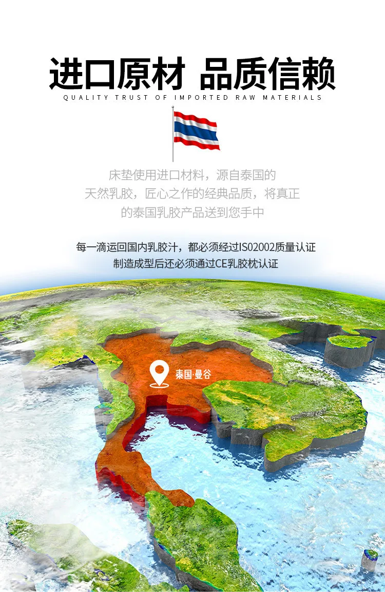 Description Picture 4 of itemDropshipping Customizable Size Mattress Soft Mattress Home Tatami Mat Was The Floor Mat Student ZHA03-20599