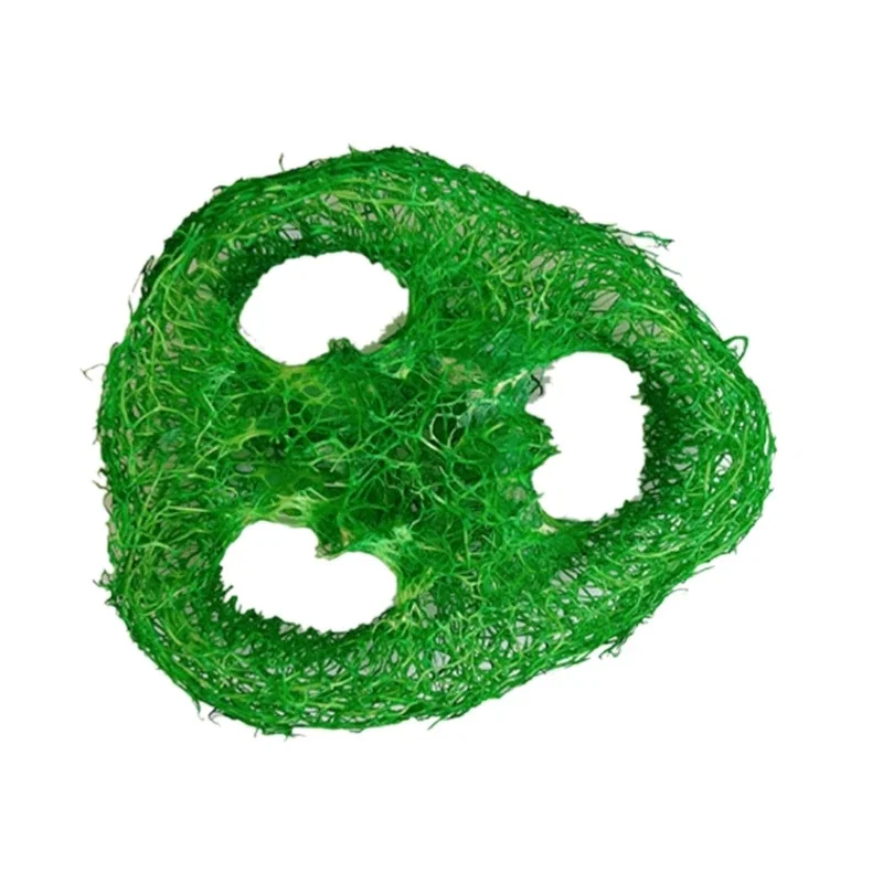  ܽ Ǳ ġ     ݴ