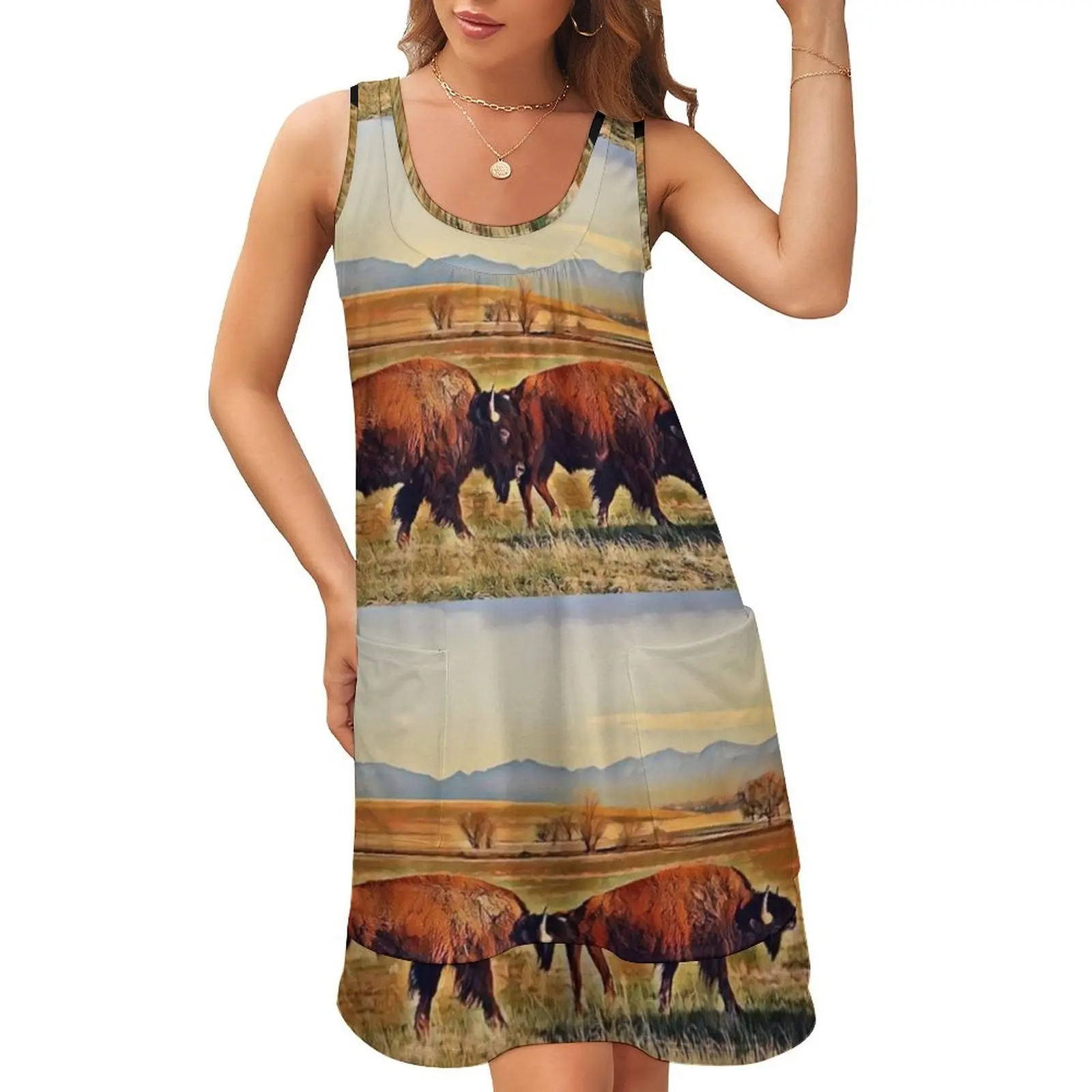 

Bison Walking 2 Sleeveless U-Neck Fake Two Piece Dress women's summer jumpsuit ceremony dresses