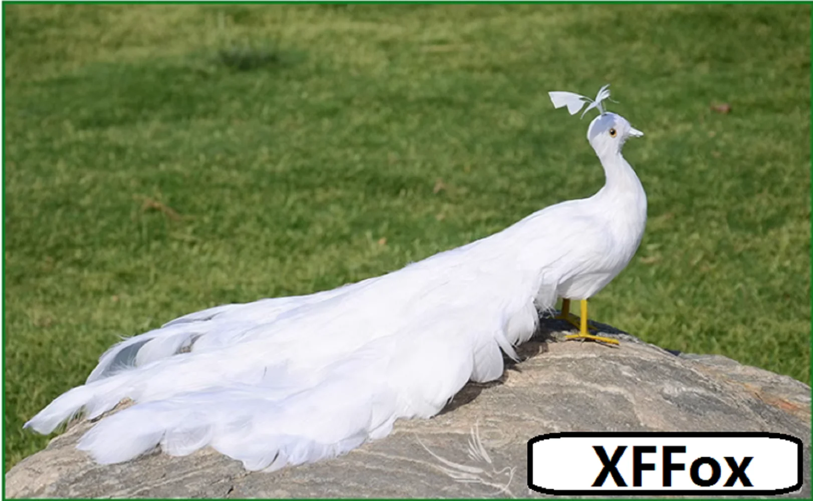 

white peacock model foam&feather simulation peacock doll gift about 50cm t2530