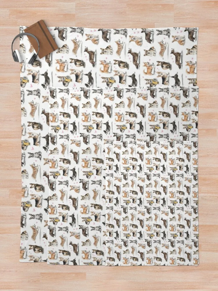 Corgi-���� �ö��� ���� ���, ������ ���