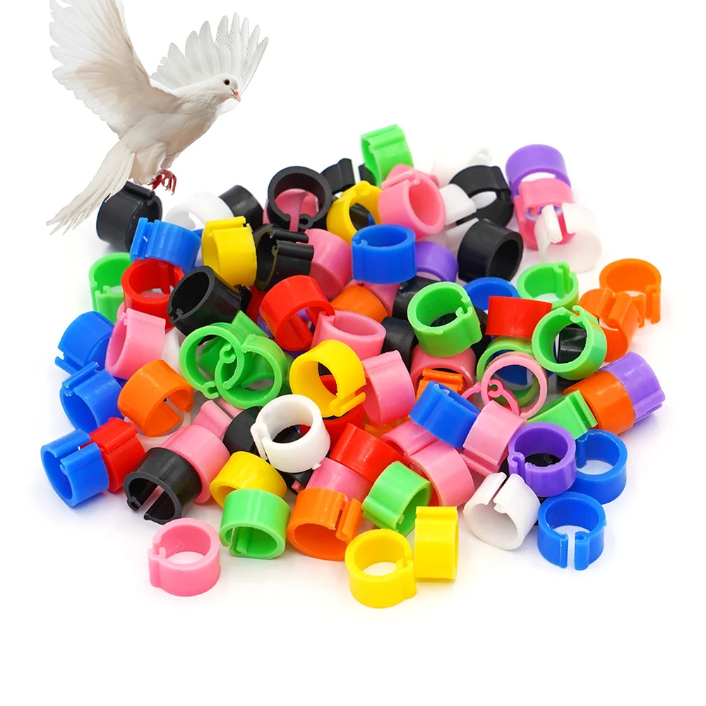 Anneaux De Jambe Pour Oiseaux - 50 Pièces En Métal, Tailles 2.7 à 5 Mm - Pour Perroquet, Canari, Volaille