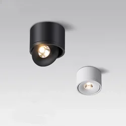 Modern Black LED Ceiling Light with Dimmable Rotatable Spot Light (Black)